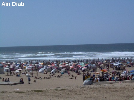 ain daib